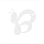 彩繪達(dá)人DIY數(shù)字油畫 江南水鄉(xiāng)系列5000款新品代理，廠家直供代發(fā)貨全攻略